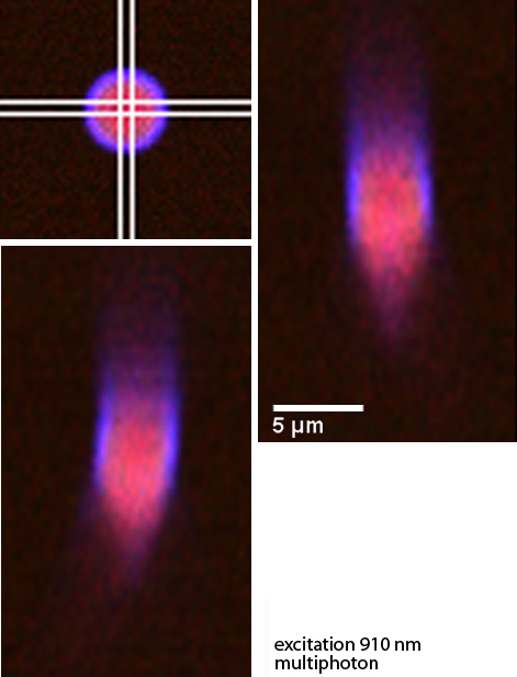 multiphoton