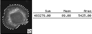 02_hand_traced.gif (5702 bytes)
