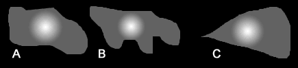 fake_cells1.gif (3817 bytes)