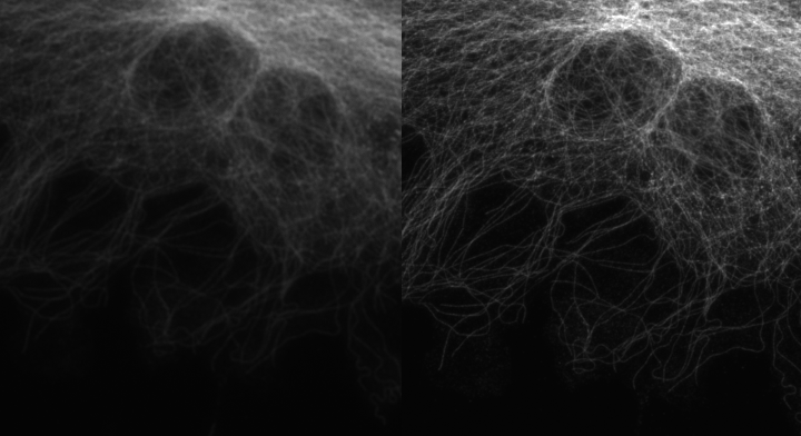 40x comparisons